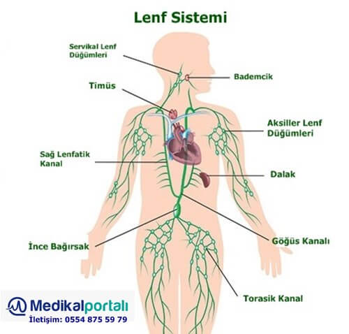 lenfodem-hastaligi-nedir-neden-olusur-lenfödem-cihazi-ile-tedavi-edilebilirmi-riskleri-yontemleri-nelerdir